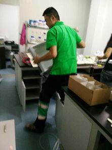 什么能除甲醛 武汉高效的花与叶环保专业室内治理哪里有