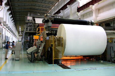 广州多家纸企负责人曝集体失联 凸显行业两极分化