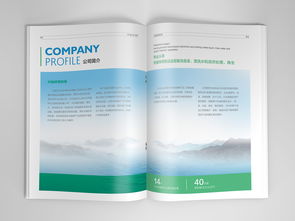 石家庄兴灿环保科技平面书装设计赏析——袁晓乐作品展示于站酷