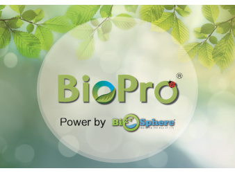 绿色创新 环保科技引领可持续发展之路